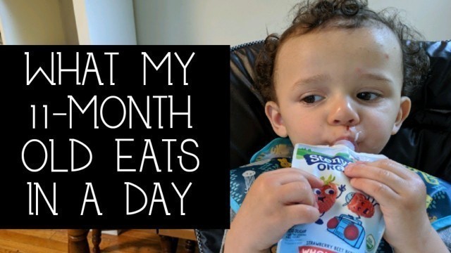 'WHAT MY BABY EATS IN A DAY | 11-Months Old'