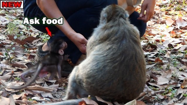 'Lady please give me some food! Smart Baby Dito ask visitor support food to him/ Dito don\'t scare'