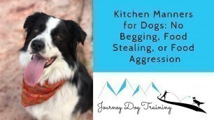 'Kitchen Manners for Dogs: No Begging, Food Stealing, or Food Aggression'