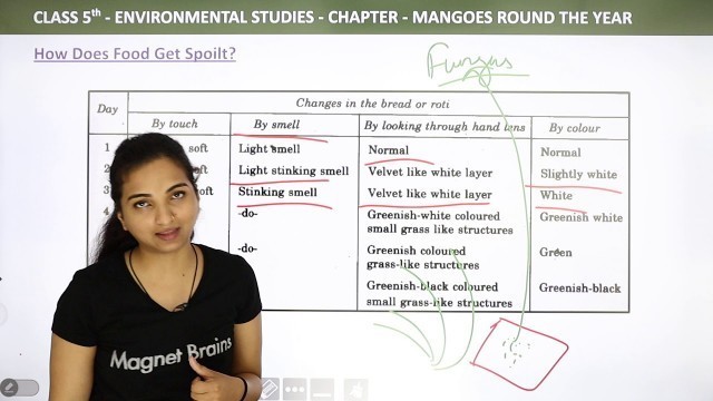 'How Does Food Get Spoilt - Mangoes Round the Year | Class 5 EVS'