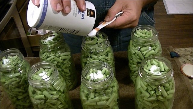 'Preserving the Harvest : Canning Green Beans'