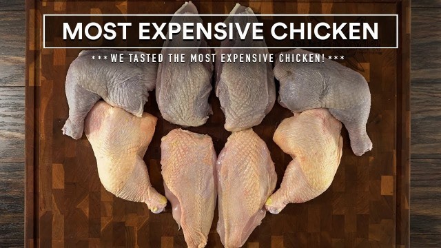 'We tasted the MOST EXPENSIVE CHICKEN I could find!'