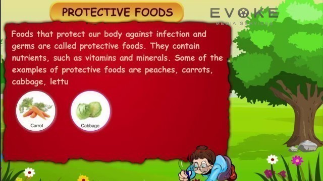 'Protective Foods  ||  Information'