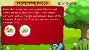 'Protective Foods  ||  Information'