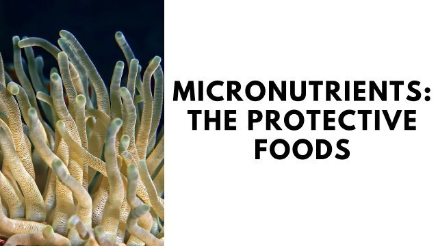 'Micronutrients the Protective Foods'