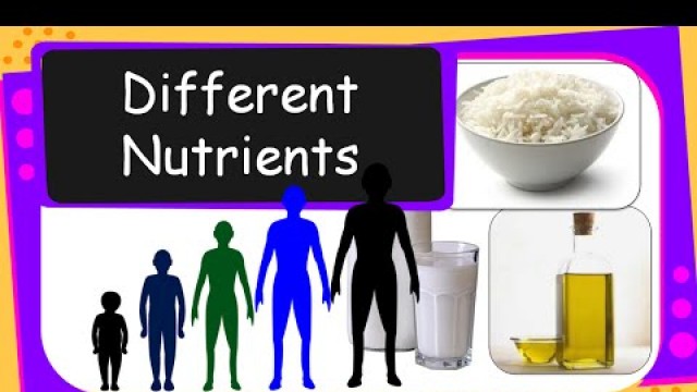 'Science - Human Food & Nutrients - English'