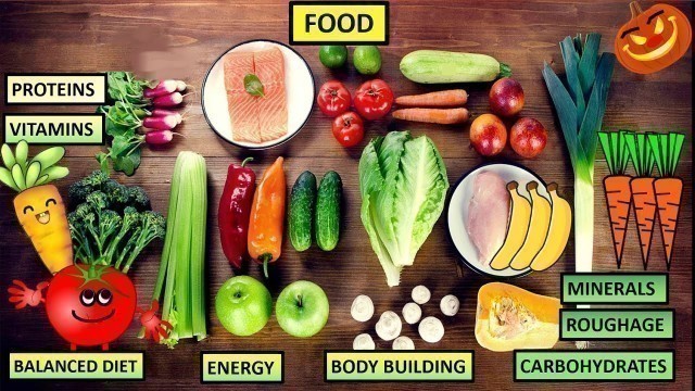 'CBSE: Science: Class 4-5: Food (Proteins, carbohydrates, fats, vitamins, nutrients, roughage, diet)'