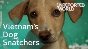 'Stealing pet dogs for meat in Vietnam | Unreported World'