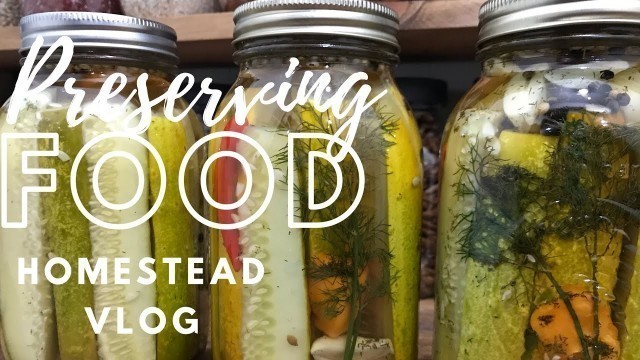 'Canning & Preserving Food Homestead Vlog'