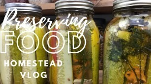 'Canning & Preserving Food Homestead Vlog'