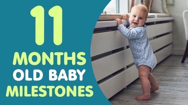 '11 Months Old Baby Milestones'