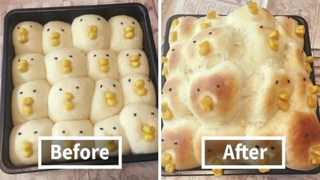 '10+ Of The Worst Kitchen Fails Ever'