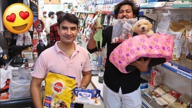 'Most EXPENSIVE SHOPPING For My DOG