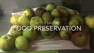 'How To Make Applesauce And Preserve By Canning'