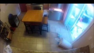 'Clever Dog Gets Caught on Camera Stealing Food From Fridge'