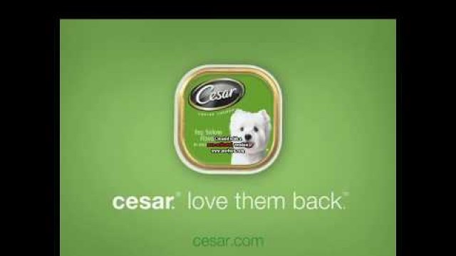 'Hersey\'s and Cesar Commercials 2017'