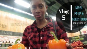 'VLOG #5 | Shopping  & Meal Prepping Fake Food w. @Reesie_2'