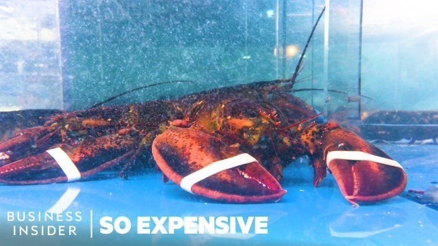 'Why Lobster Is So Expensive | So Expensive'