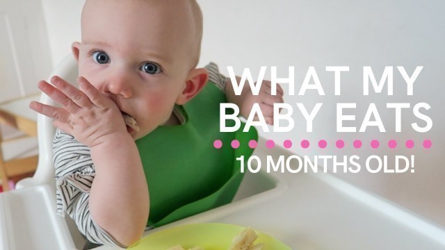 'WHAT MY BABY EATS IN A DAY! (10 MONTHS OLD) | BABY LED WEANING MEAL IDEAS'