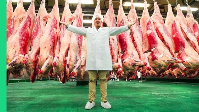 'Japanese Kobe Beef Factory!!! MOST EXPENSIVE Meat in the World!!!'