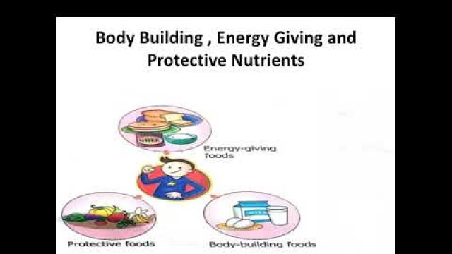 'Body Building , Energy Giving and Protective Foods /Nutrients'