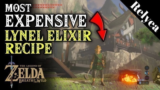 'Most Expensive Elixir Recipe in the Legend of Zelda Breath of the Wild'