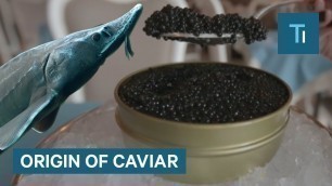 'Why Caviar Is So Expensive | So Expensive'