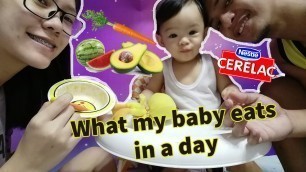 'What my 9 months old baby eats in a day | EASY BABY FOOD PREPARATIONS | April Eco'