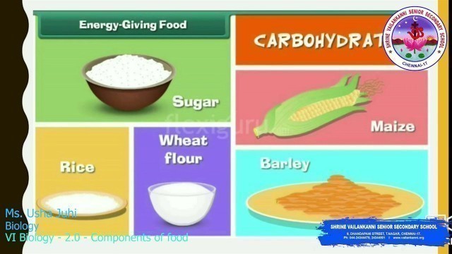 'SVSSS VI Biology - 2.0 - Components of food'