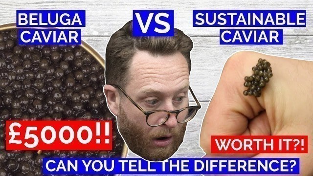 'CAVIAR £5000 WORLDS MOST EXPENSIVE Vs UK sustainable Caviar | John Quilter'