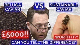 'CAVIAR £5000 WORLDS MOST EXPENSIVE Vs UK sustainable Caviar | John Quilter'