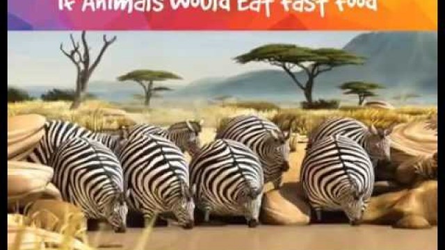 'If animals eats fast food'