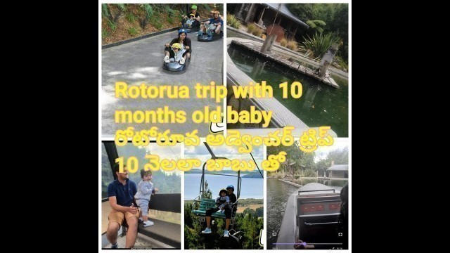 'Rotorua trip with 10 months old baby//SKYLINE/Luge Ride//Rainbow Springs Nature Park'