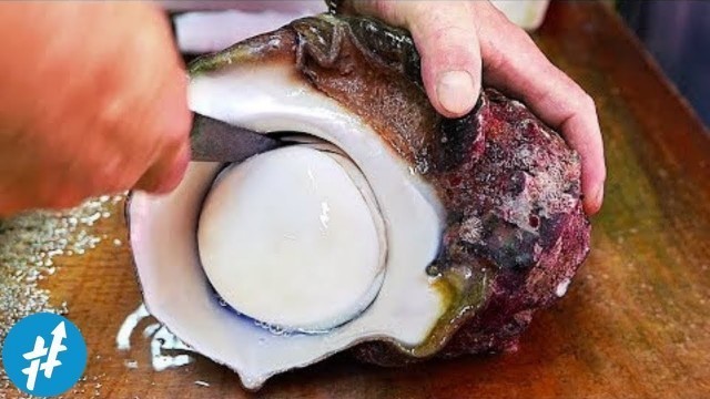 'ALIEN LAUT...?? Uniknya Olahan Kuliner Kaki Lima Di JEPANG'