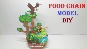 'food chain model making science project (new design ) | science exhibition project | howtofunda'