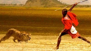 'Man vs Lions Brave Men Stealing Lion\'s Food Without a Fight'