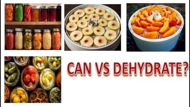 'Canning Vs Dehydrating: Best Food Storage Preservation Method?'