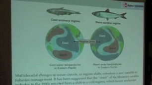 'Ocean Food Webs - Ecosystem-Based Management'