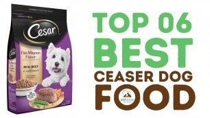 'Top Best Cesar Dog Food'