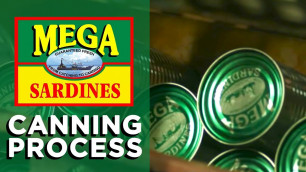 'The Canning Process | How Sardines Are Made | The Mega Global Story'