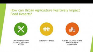 'Can Urban Agriculture Solve Food Deserts? By Stephanie Barajas'