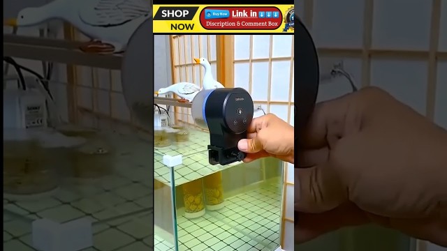 'The Gadgets Wala ! #Shorts , fish food feeder automatic, #fish food , Fish food automatic #YouShorts'