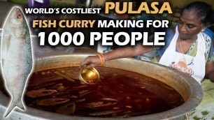 'World\'s Costliest Pulasa Fish Curry Making for 1000 People #Ilish Fish Curry'