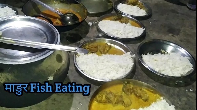 'Magur Fish Curry Eating || Village Food Eating'