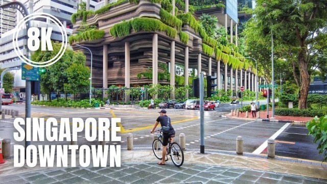 'Singapore City 8K: Downtown Core Cycling Tour (June 2021)'