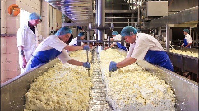 'Amazing Cheese Factory Workers & Machines on Another Level'