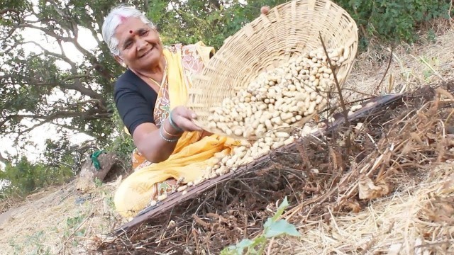 'How to Roast Peanuts || Peanut Fry || Perfect Home Roasted Peanuts || Myna Street Food'