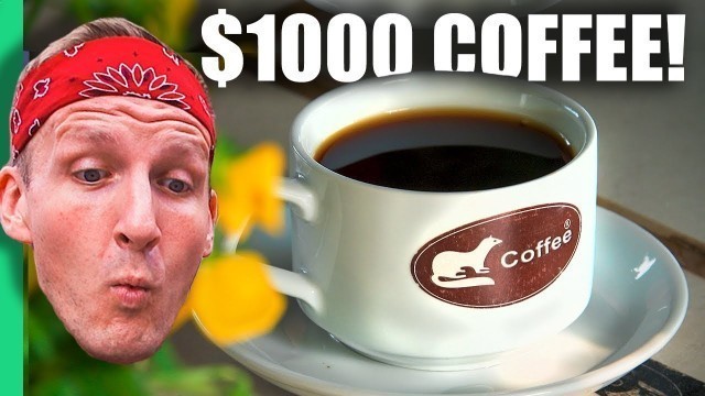 '$1 Coffee VS $1000 Weasel Poop Coffee - Da Lat, Vietnam'