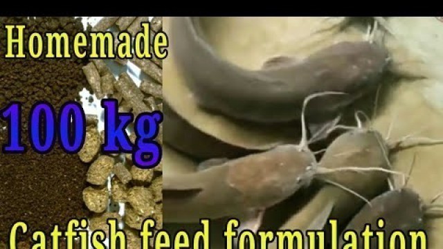 'On farm 100kg Homemade Catfish feed formulation| Deshi magur feed preparation.'