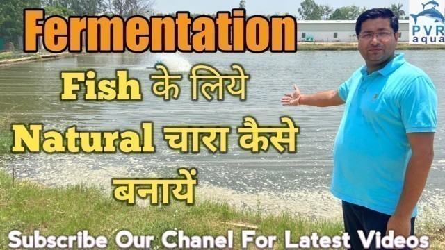 'Fermentation क्या है? How to make natural food for fish 2020| Pvraqua'